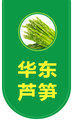 曹縣華東蘆筍科技服務有限公司